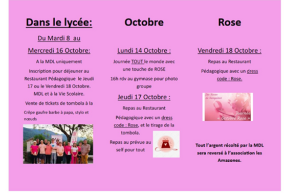 octobre rose.png